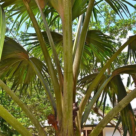 Calou Guest House-2